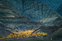 129 - AUTUM OF A MOUTAIN TEMPLE - XU XIAOMEI - china